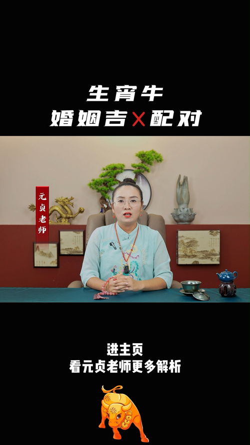 12生肖婚配吉凶表,十二生肖配对吉凶表