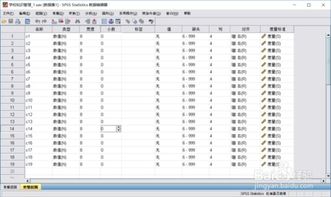 大数据分析 SPSS生存分析