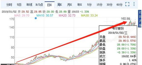 公司收入3个亿，净利率15%，市盈率30%，投资5000万，享受多少的股份