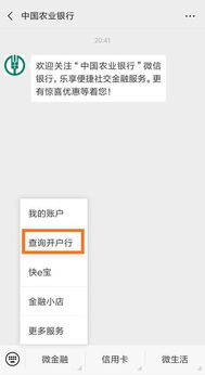 怎么查询自己的开户行,农行用短信95555查询开户行