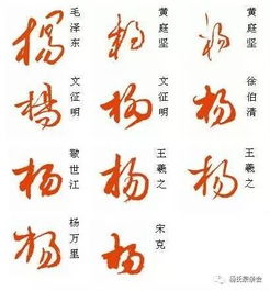 厉害了我的杨 杨字的100种写法 杨家人不容错过