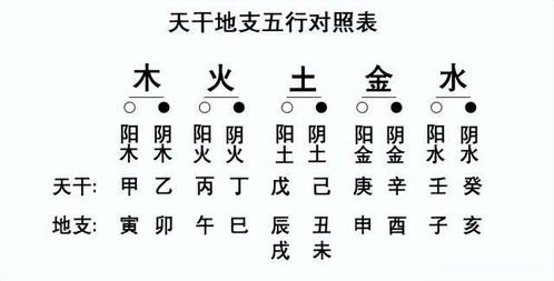 中医可以用八字命理学预测疾病,它的理论依据是什么 连载18