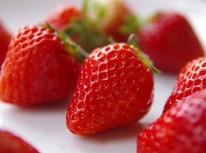 草莓什么时候能收获 是在几月份成熟 生长周期要多久