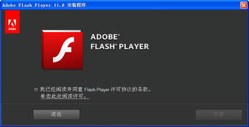 adobe flash player 官方最新