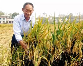 如果70年前有热搜 5分钟带你看新中国的这些年