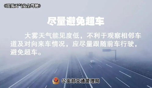 大雾黄色预警 天气短暂好转,湘东局地中度霾,驾车出行 雾 必小心