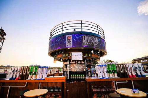 第二届深圳国际啤酒节开幕,超级摩天轮下的 顽啤嘉年华 开启全城欢乐