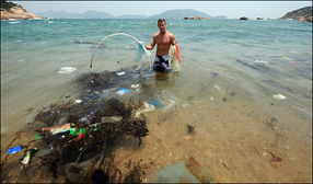 如今全球生态环境状况如何海洋污染严重吗(目前海洋环境污染)