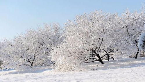 大雪来了你知道吗 冬 bibididi