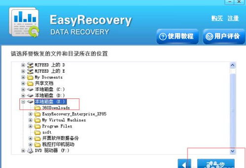 easyrecovery pro 6.0 中文版 绿色