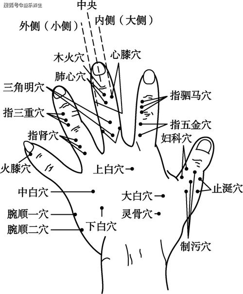 按揉玉门有什么作用和功效