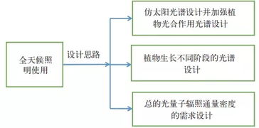 bim培训活动目的范文-bim在方案策划阶段的应用内容包括？