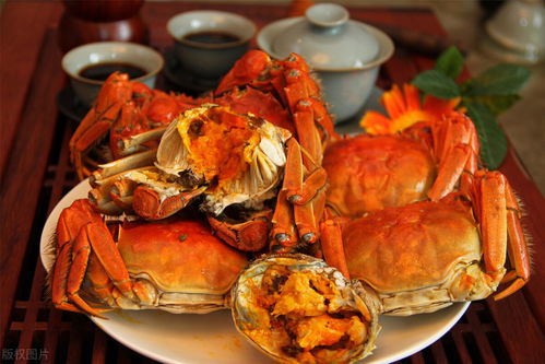 每日健康推荐你真的会吃螃蟹吗 什么人不能吃螃蟹 今天告诉你吃螃蟹的禁忌