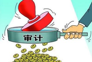 扶贫资金审计方式优缺点(扶贫资金审计报告范文)