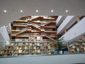 济南市图书馆新馆喜见 爱知识人士学习避暑两不误