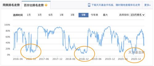 大家都持有什么股票或基金？