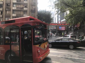 重庆旅游巴士有哪些(重庆观光巴士哪里买票)