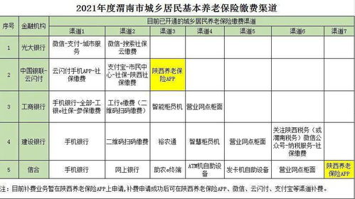 湖南省养老保险缴费标准(规费中养老保险费湖南)