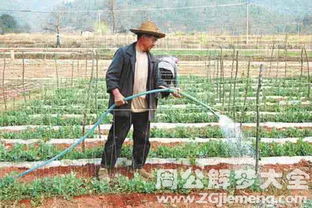 梦见田地里浇水是什么意思 梦到田地里浇水好不好 大鱼解梦网 