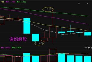 中国交建是什么概念股票？中国交建股业绩何时公报？中国交建股票属于什么板块？