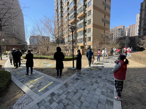 沈阳市本轮疫情，不在自己小区核酸检测行吗(沈阳不核酸检测会影响出行吗)