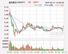 胜利股份涨到多少