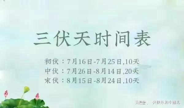 公伏凶,母伏爽 什么意思 今年加长版伏天是公还是母呢 为何