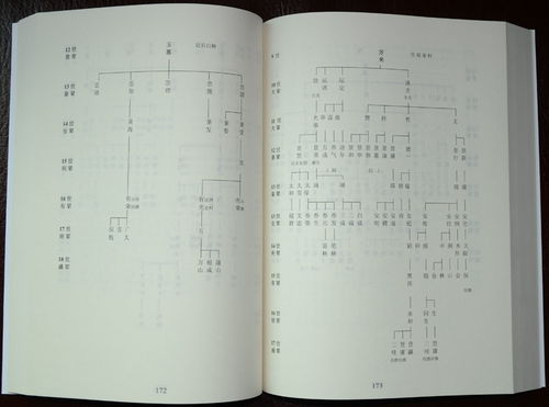 怎样写现代家谱范文-家族史怎么写？