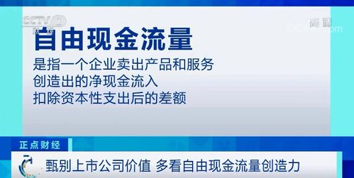 现金流量是指什么，说得简单一点。谢谢。