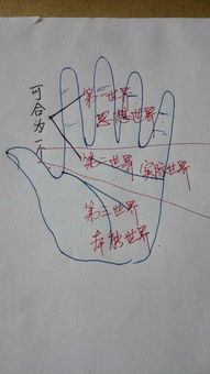 男金星丘手纹,手纹相上各大星丘代表了些什么 手掌八大星丘代表的含义解析？