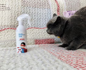 有什么好的产品能给猫咪杀菌除味 爱能猫咪杀菌除味喷雾效果好吗