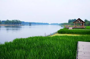 大运河森林公园停车场在哪里(大运河森林公园停车场免费)