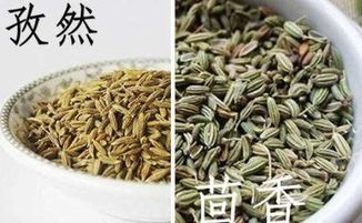 茴香种子就是孜然吗 