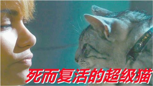 女人意外淹死,被小猫哈了一口气,神奇复活 