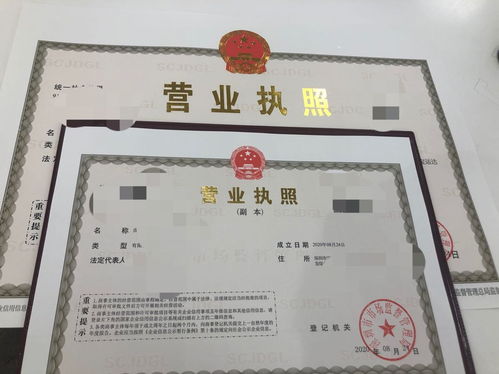 注册混凝土公司（我想在深圳龙岗注册一个混凝土公司，场地面积29100㎡，需要什么前置批文，应该先做什么？）