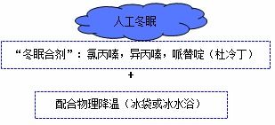 氯丙嗪对中枢神经系统的作用 