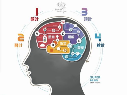 有哪些高效的学习技巧可以帮助我模仿别人的签字方法？