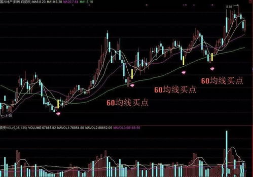 5元一只的股票买入长到百分之五点六收入是多少