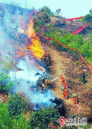 武警森林部队在滇研讨高山灭火战法 