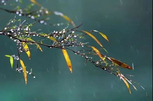 象山明天中到大雨,还有强冷空气来袭 请及时保暖防寒