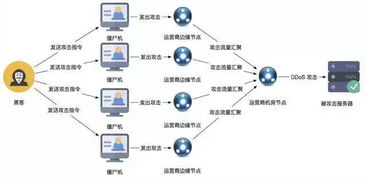 美国高防服务器可以抵御的DDoS攻击行为有哪些