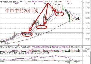 牛市中个股股价的每一次大级别回调都是在30%左右吗?