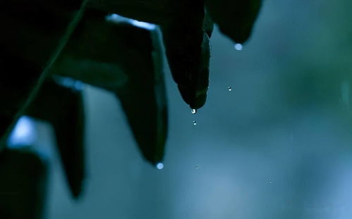 虞美人 蒋捷(蒋捷《虞美人·听雨》抒发什么感情)