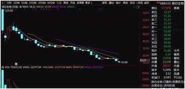 科创板股票中的K、次K是啥？