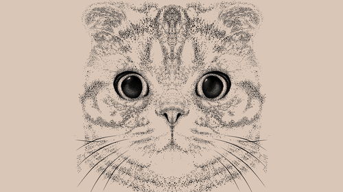 猫咪桌面壁纸 喵 插画 潮流 木子夭贰 