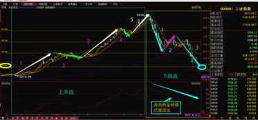 为什么大盘跌股票都要跌？