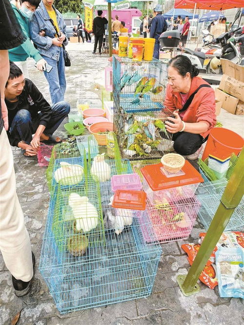 复活 千年古墟