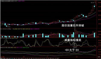 购买的股票被停止上市了，该怎么办?