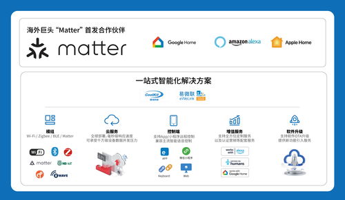 高效查重手册：一站式解决方案