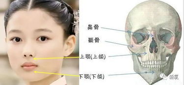 所有人都说认不出这个韩国童星了 加个下巴像换了颗头啊 